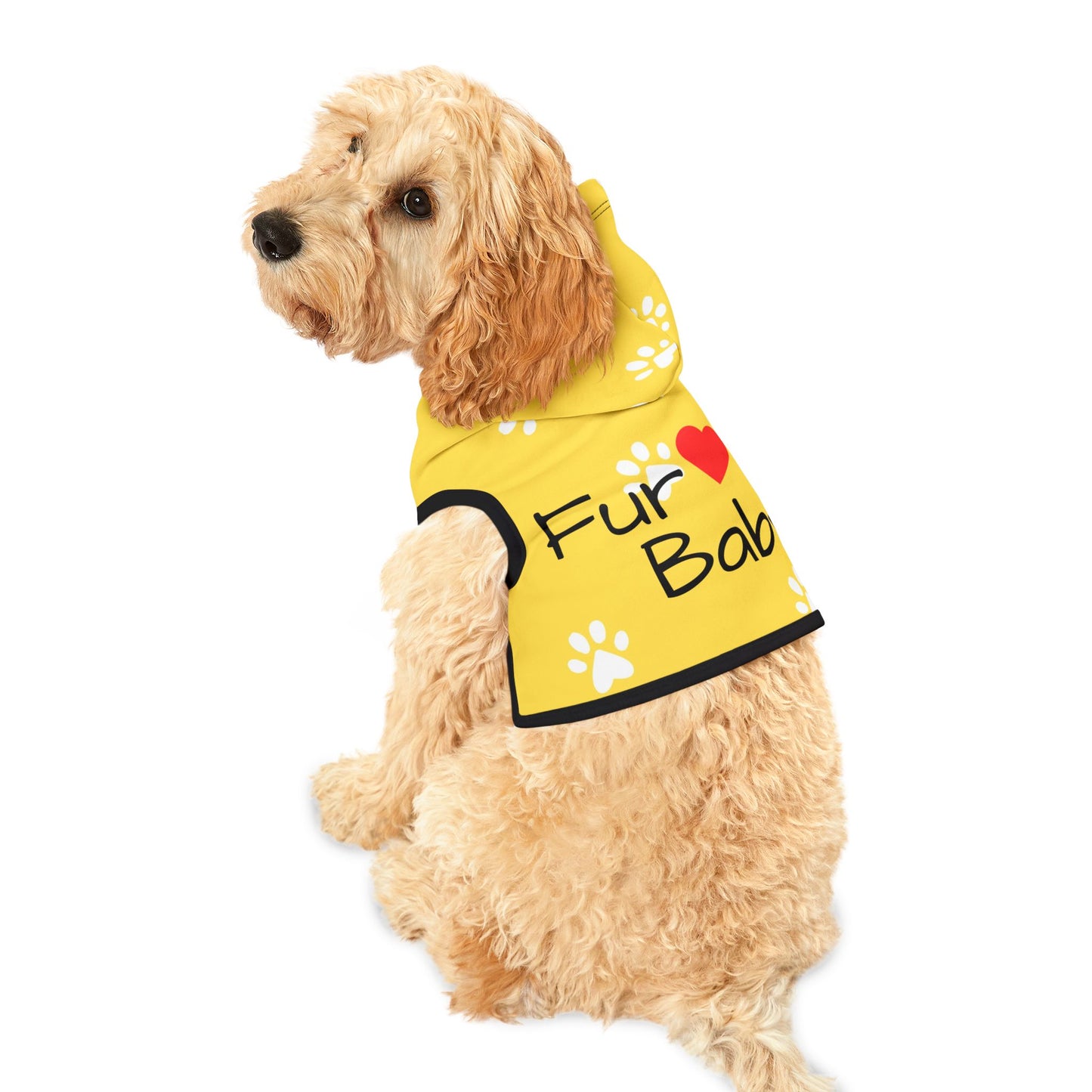 The Pawsitively Bright Dog Hoodie