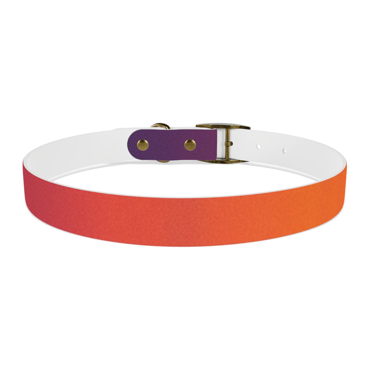 Vibrant Gradient Dog Collar
