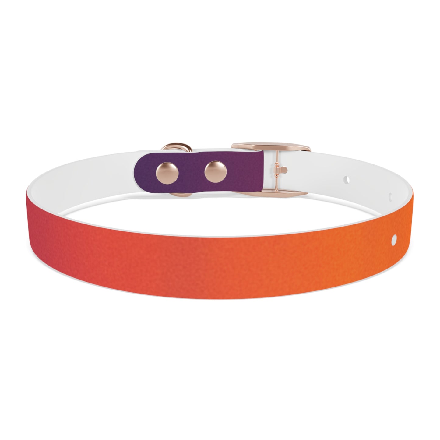Vibrant Gradient Dog Collar