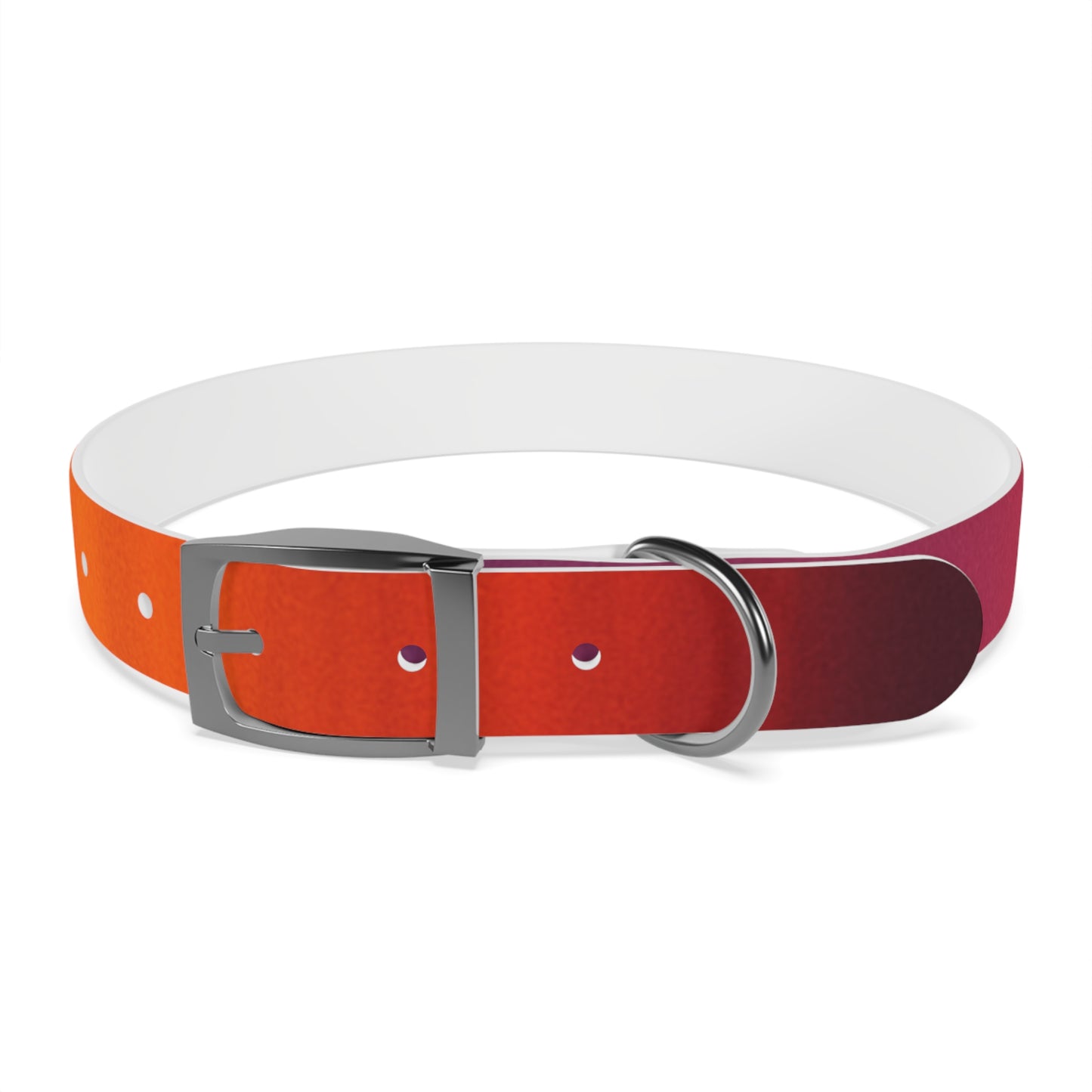 Vibrant Gradient Dog Collar
