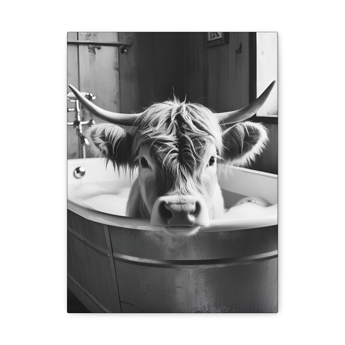 Highland Cow Bubbles Wall Art