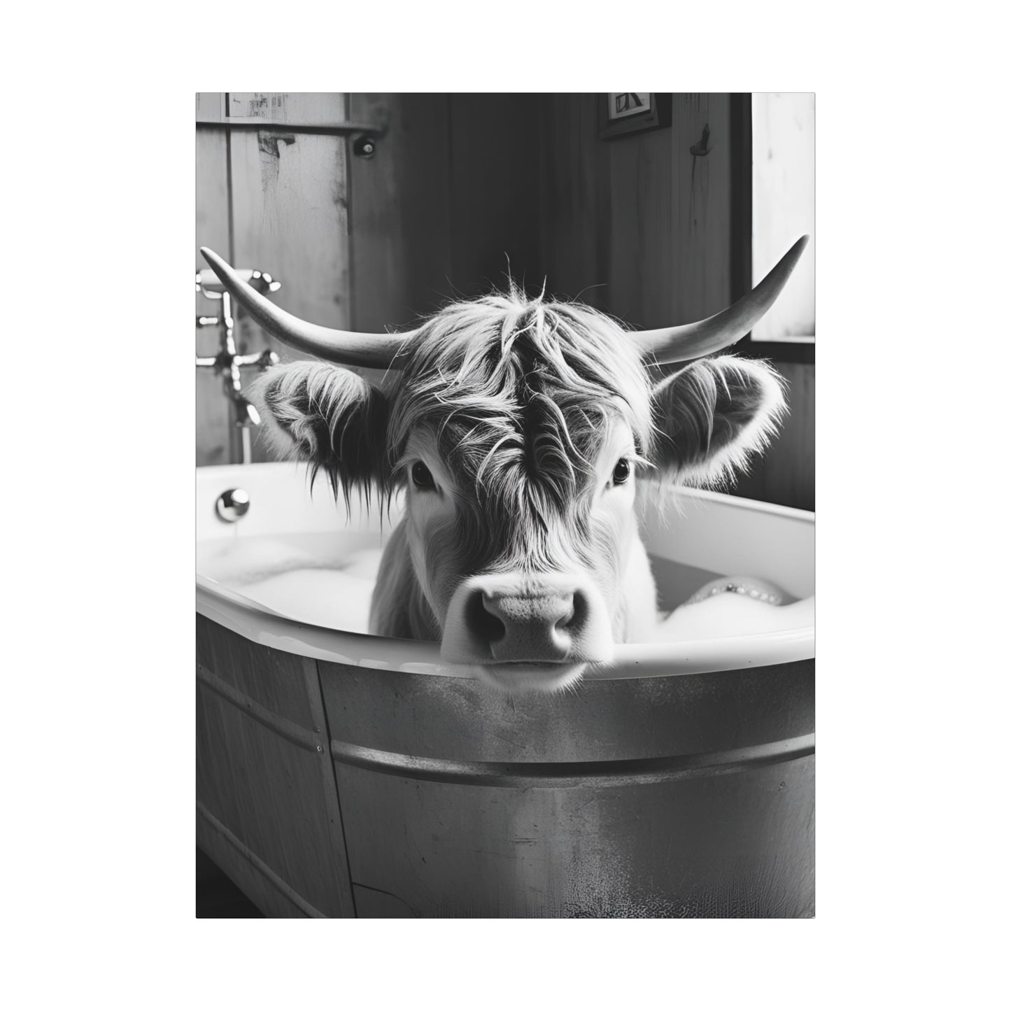 Highland Cow Bubbles Wall Art