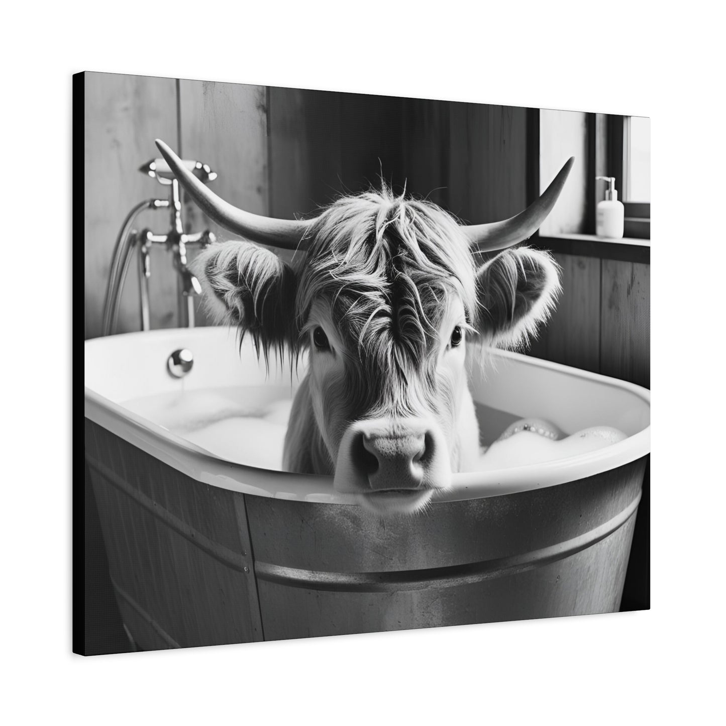 Highland Cow Bubbles Wall Art