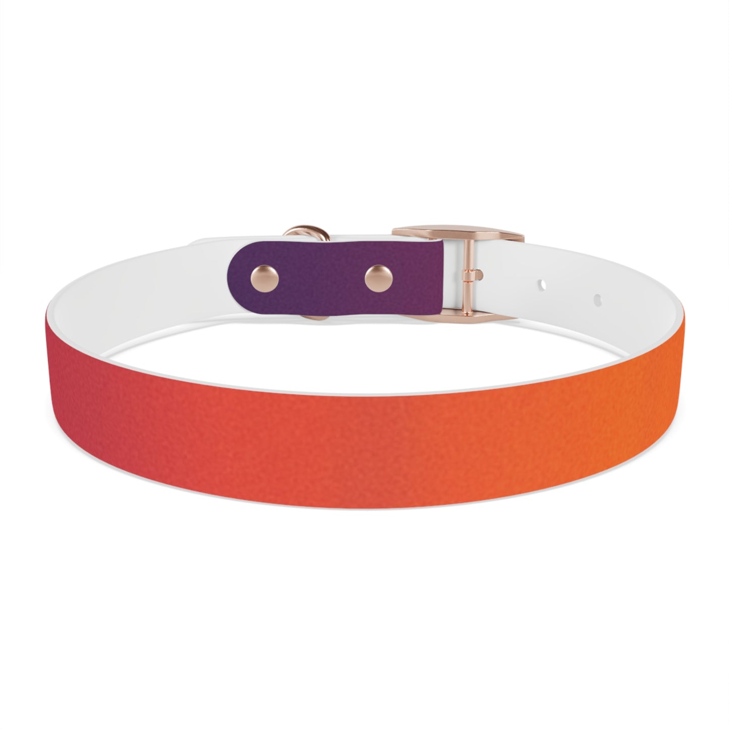 Vibrant Gradient Dog Collar