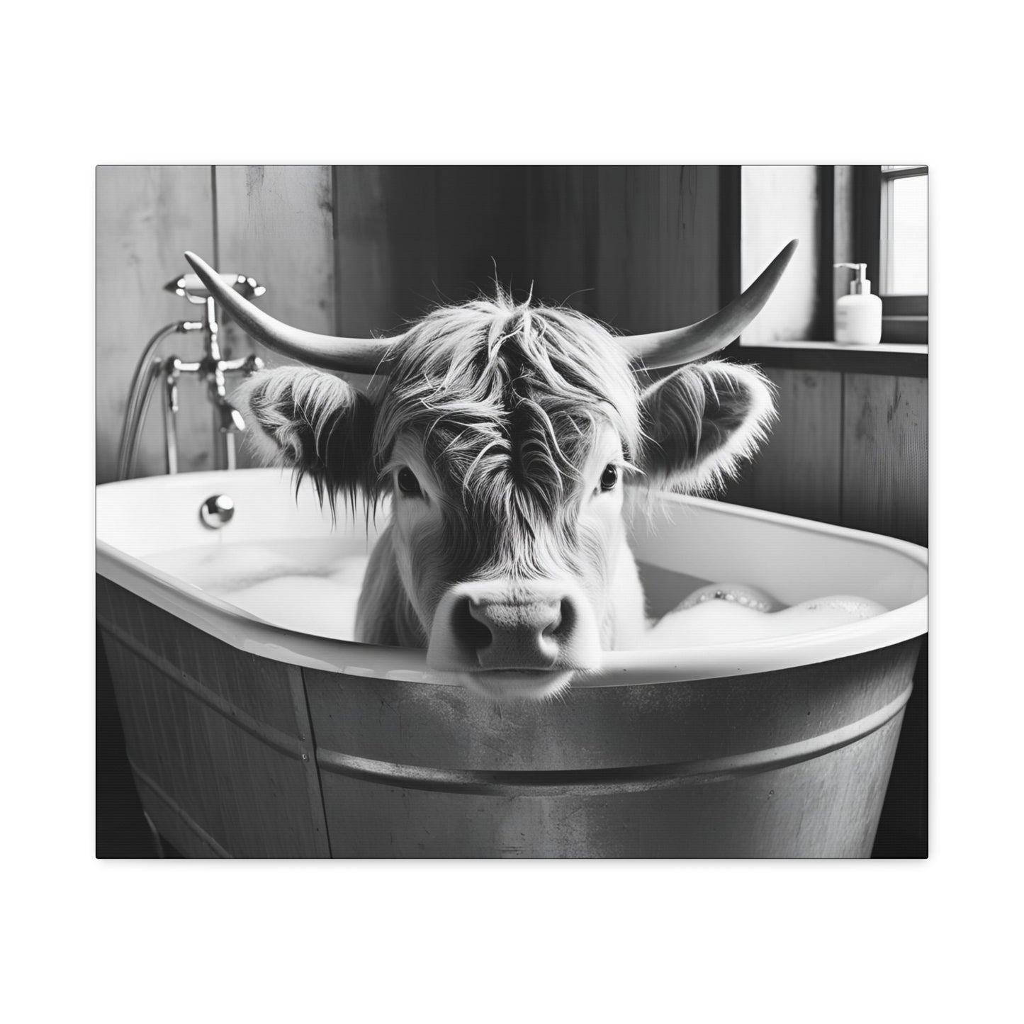 Highland Cow Bubbles Wall Art
