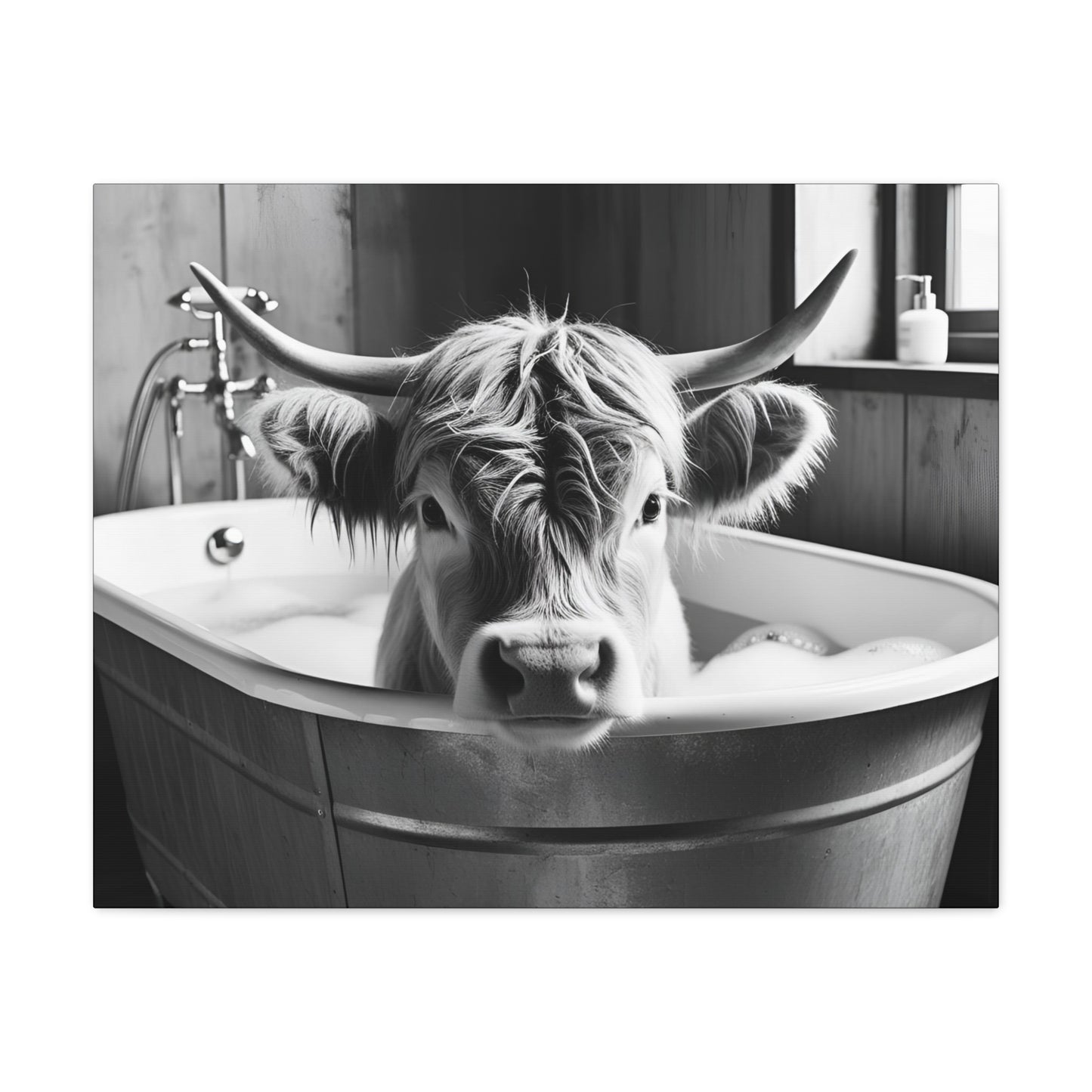 Highland Cow Bubbles Wall Art