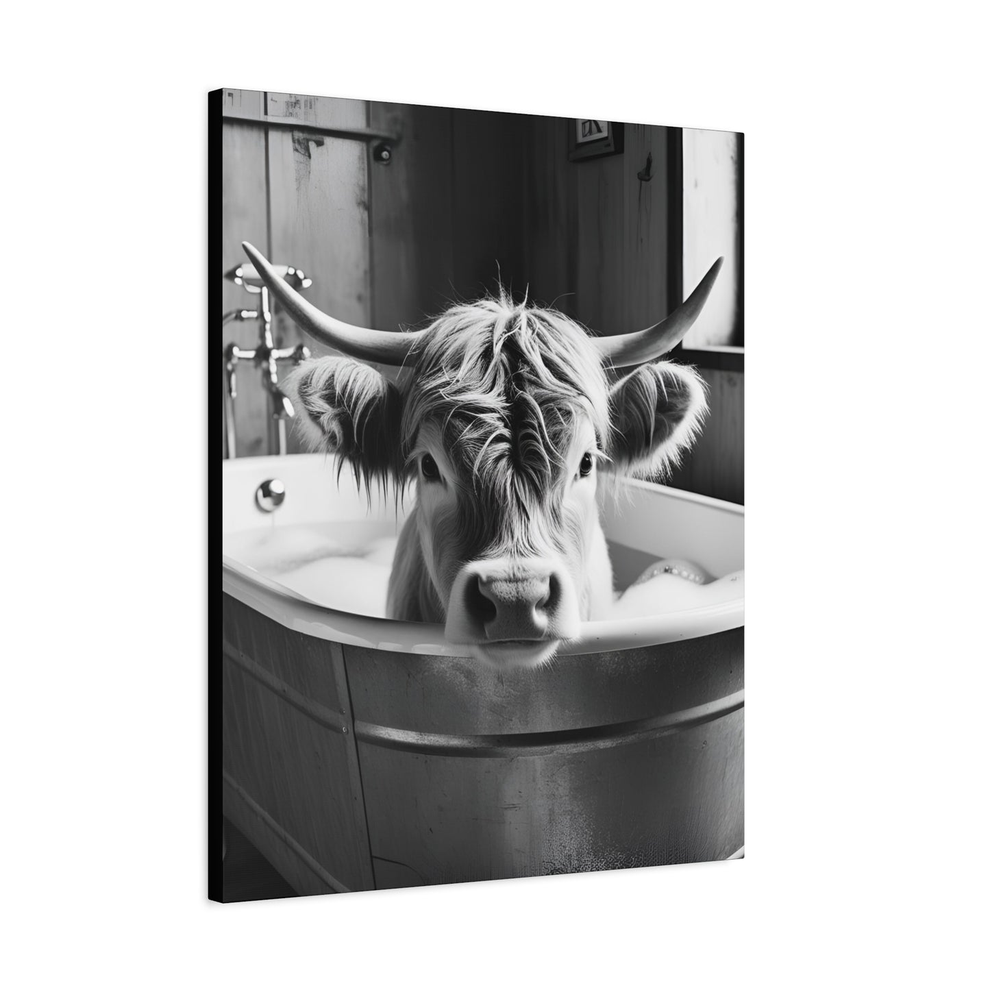 Highland Cow Bubbles Wall Art