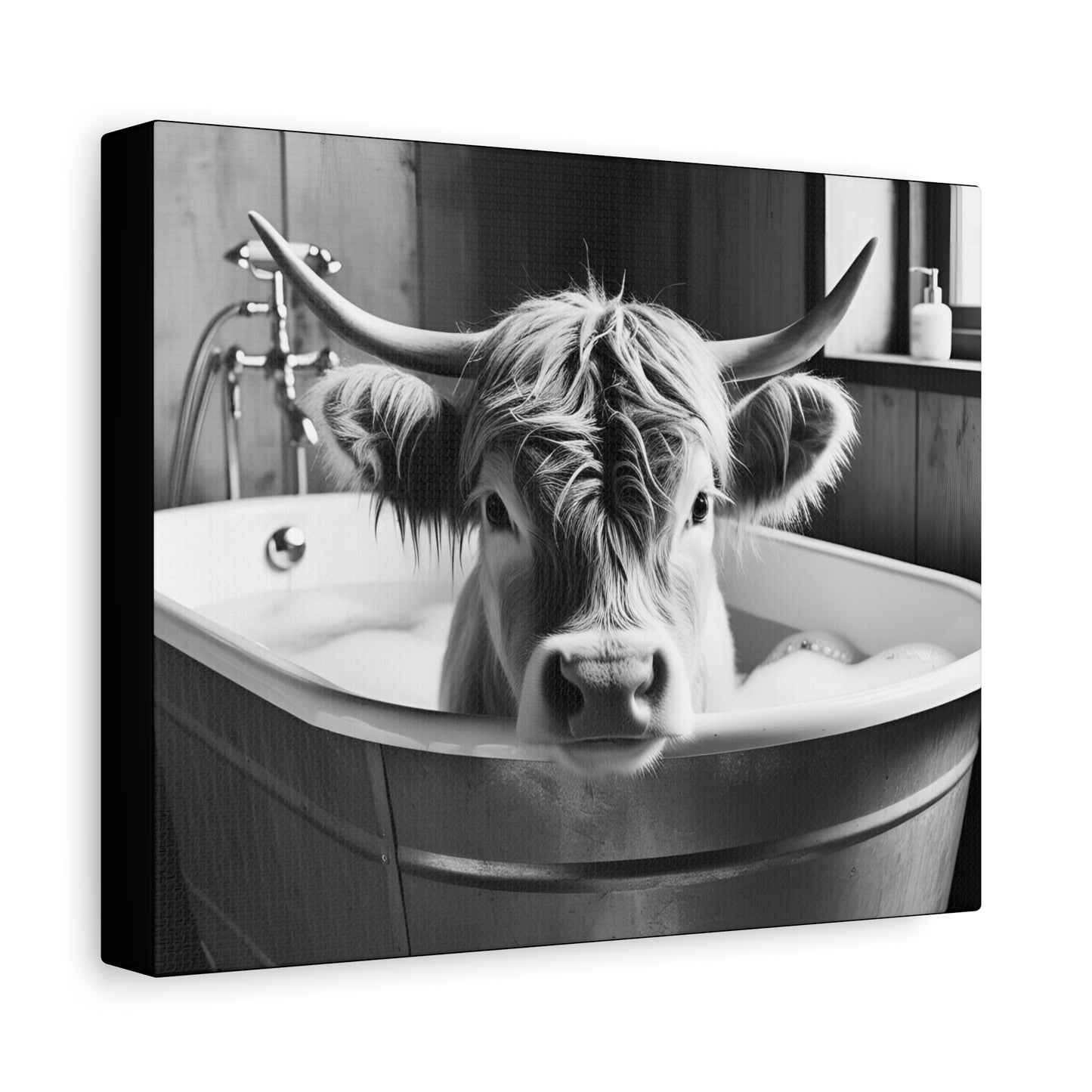 Highland Cow Bubbles Wall Art