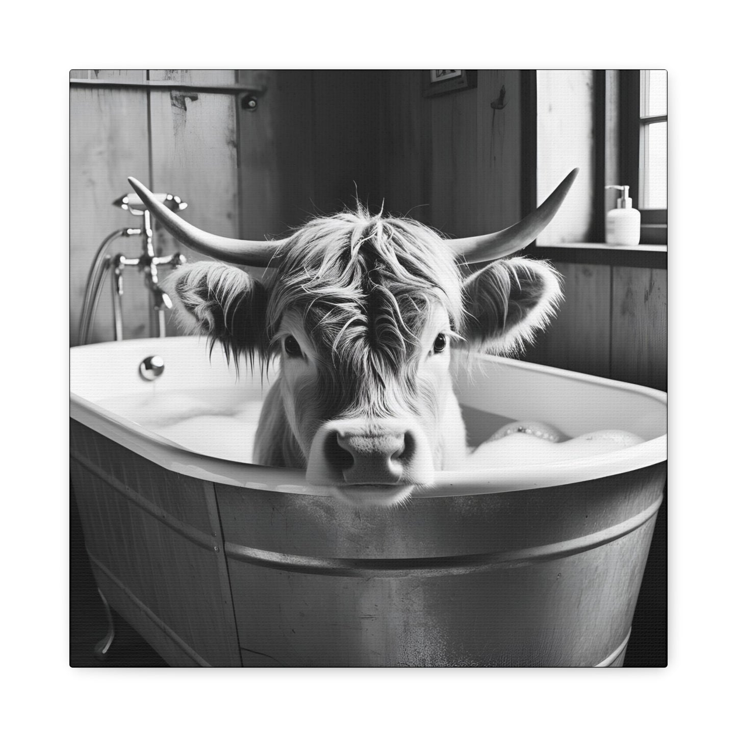 Highland Cow Bubbles Wall Art
