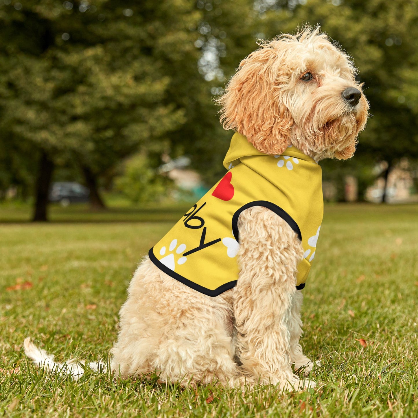 The Pawsitively Bright Dog Hoodie