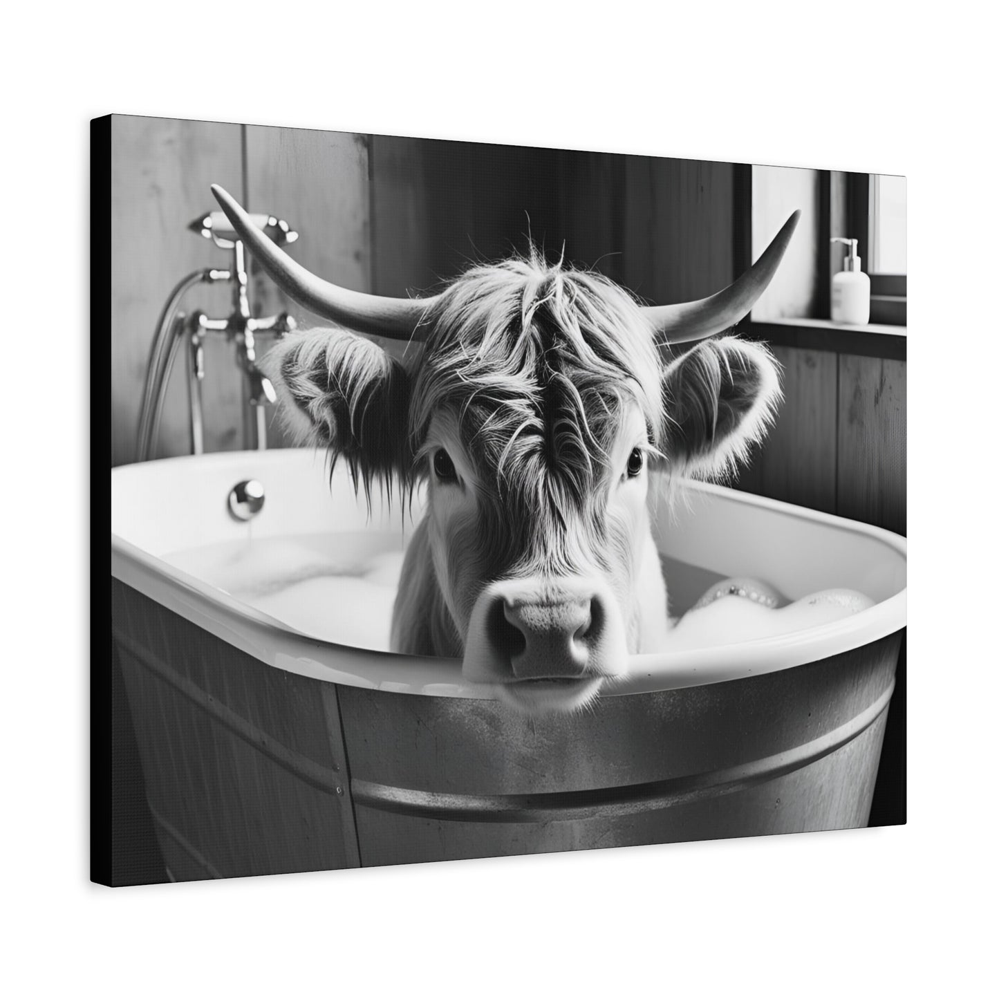 Highland Cow Bubbles Wall Art