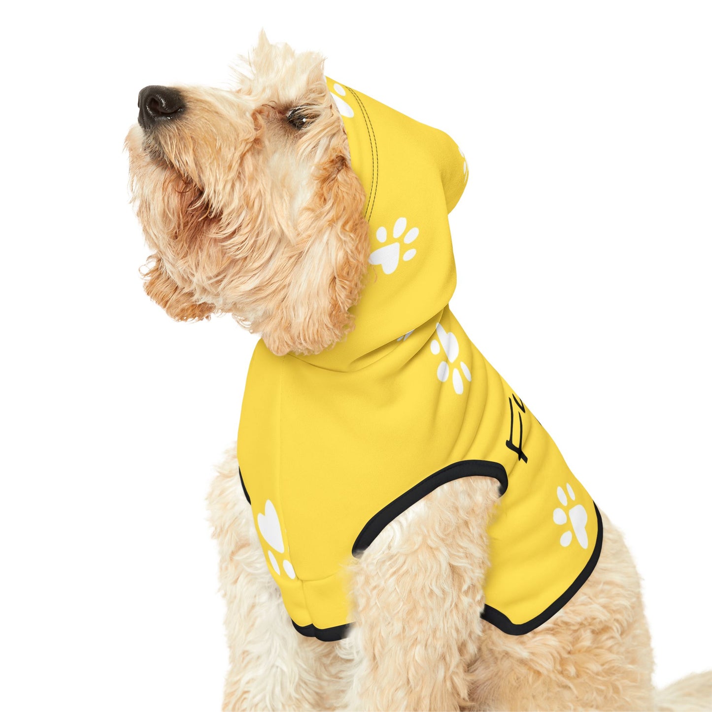 The Pawsitively Bright Dog Hoodie