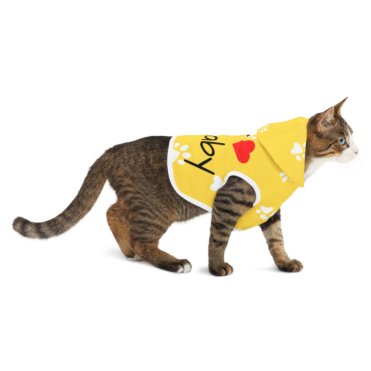 The Pawsitively Bright Dog Hoodie