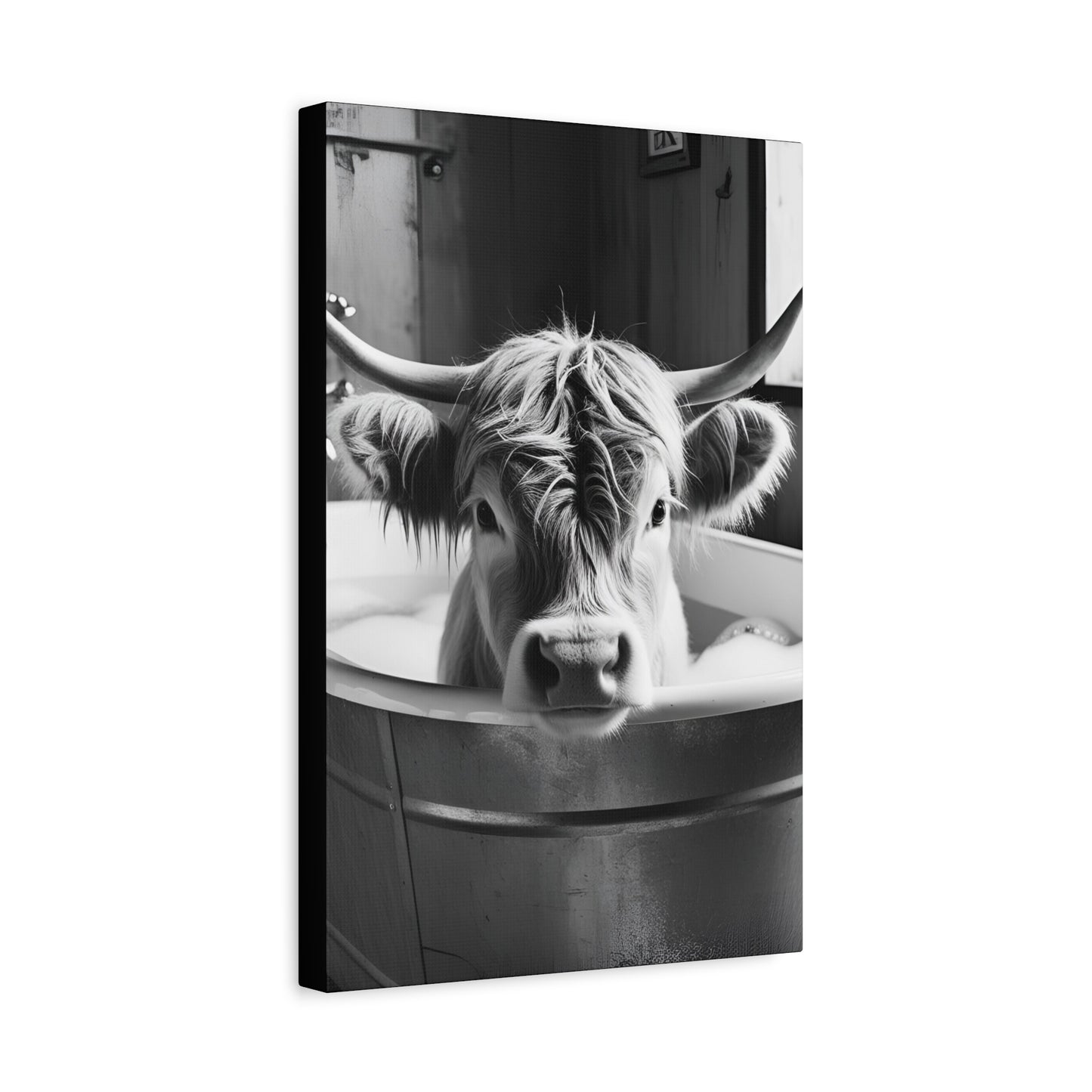 Highland Cow Bubbles Wall Art