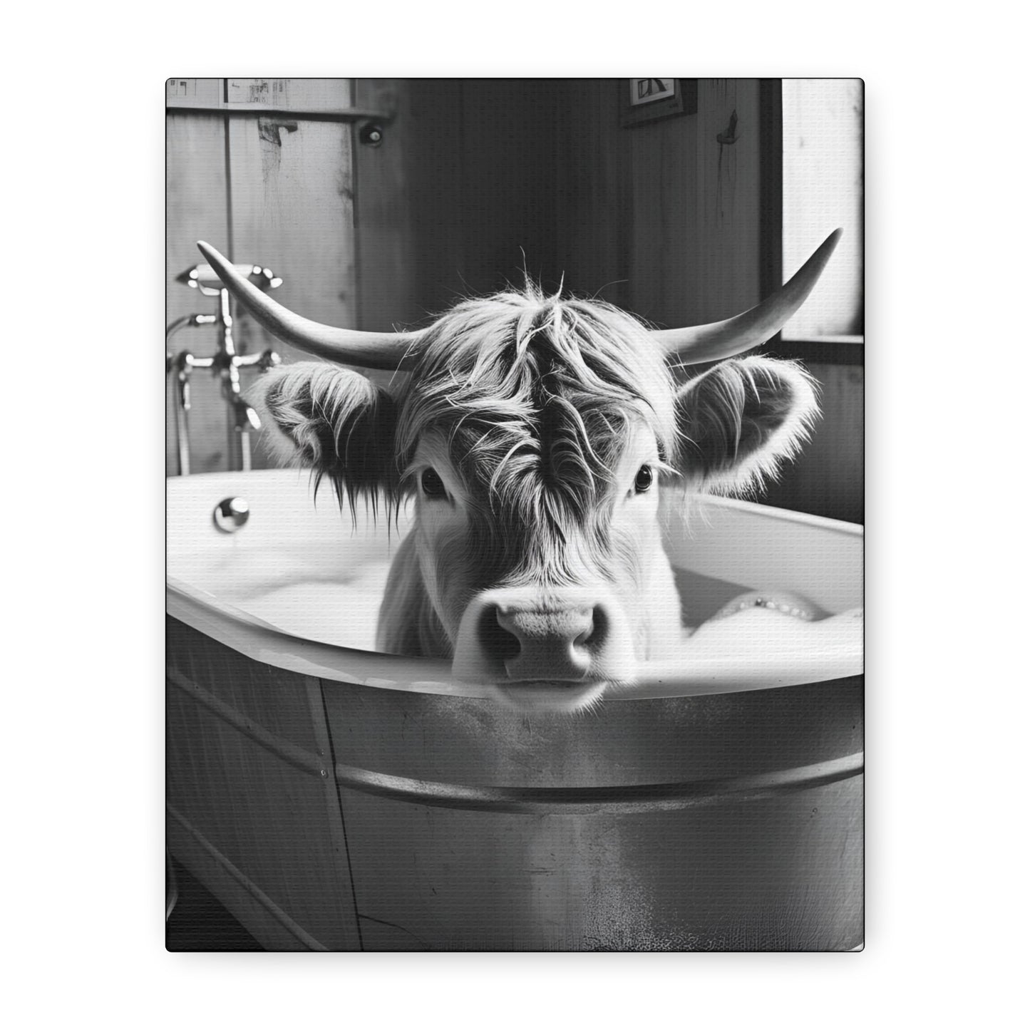 Highland Cow Bubbles Wall Art