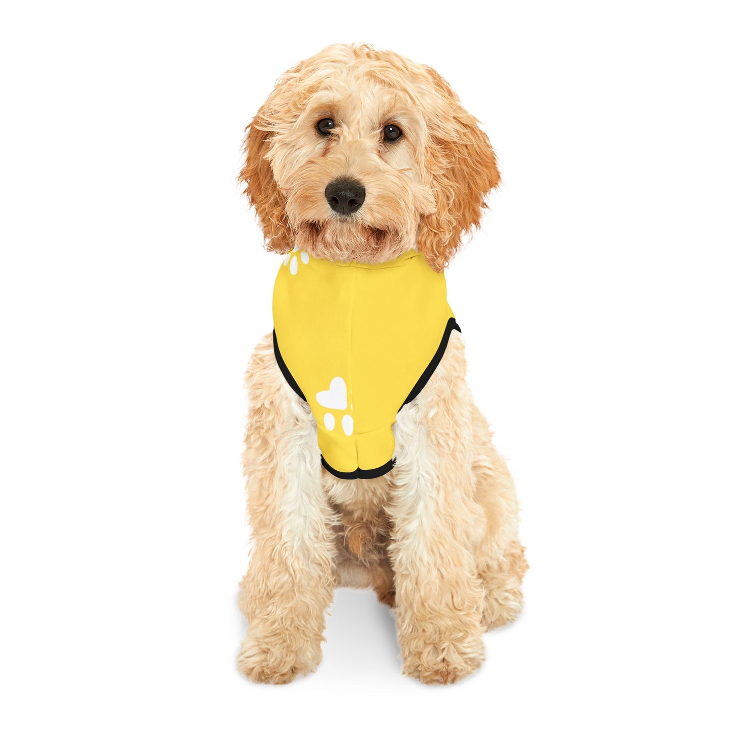 The Pawsitively Bright Dog Hoodie