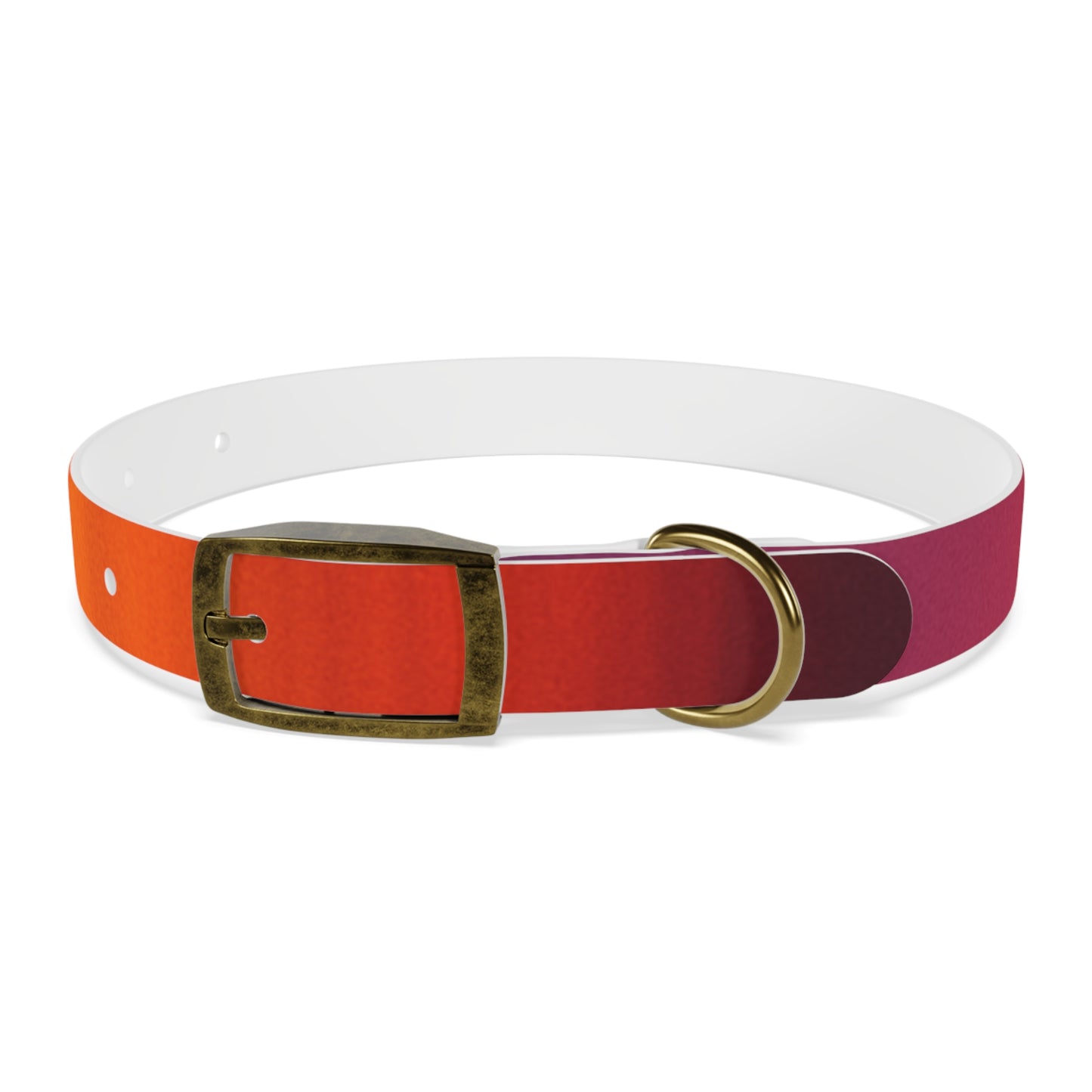 Vibrant Gradient Dog Collar
