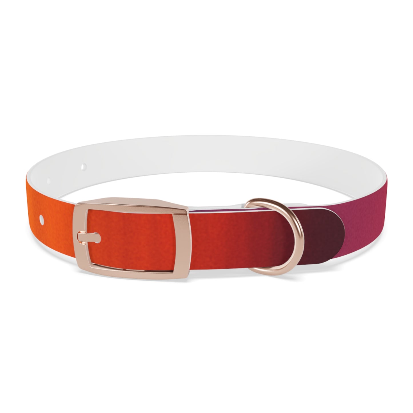 Vibrant Gradient Dog Collar