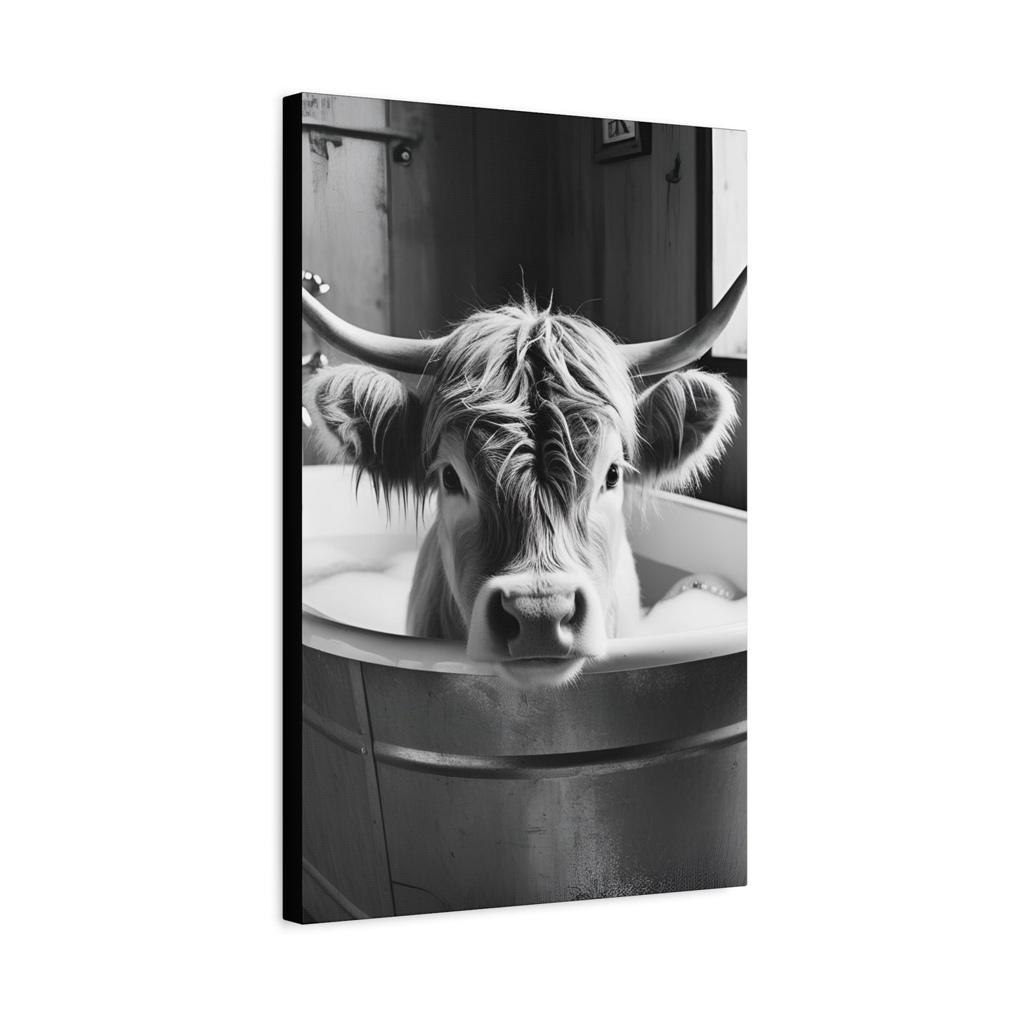 Highland Cow Bubbles Wall Art