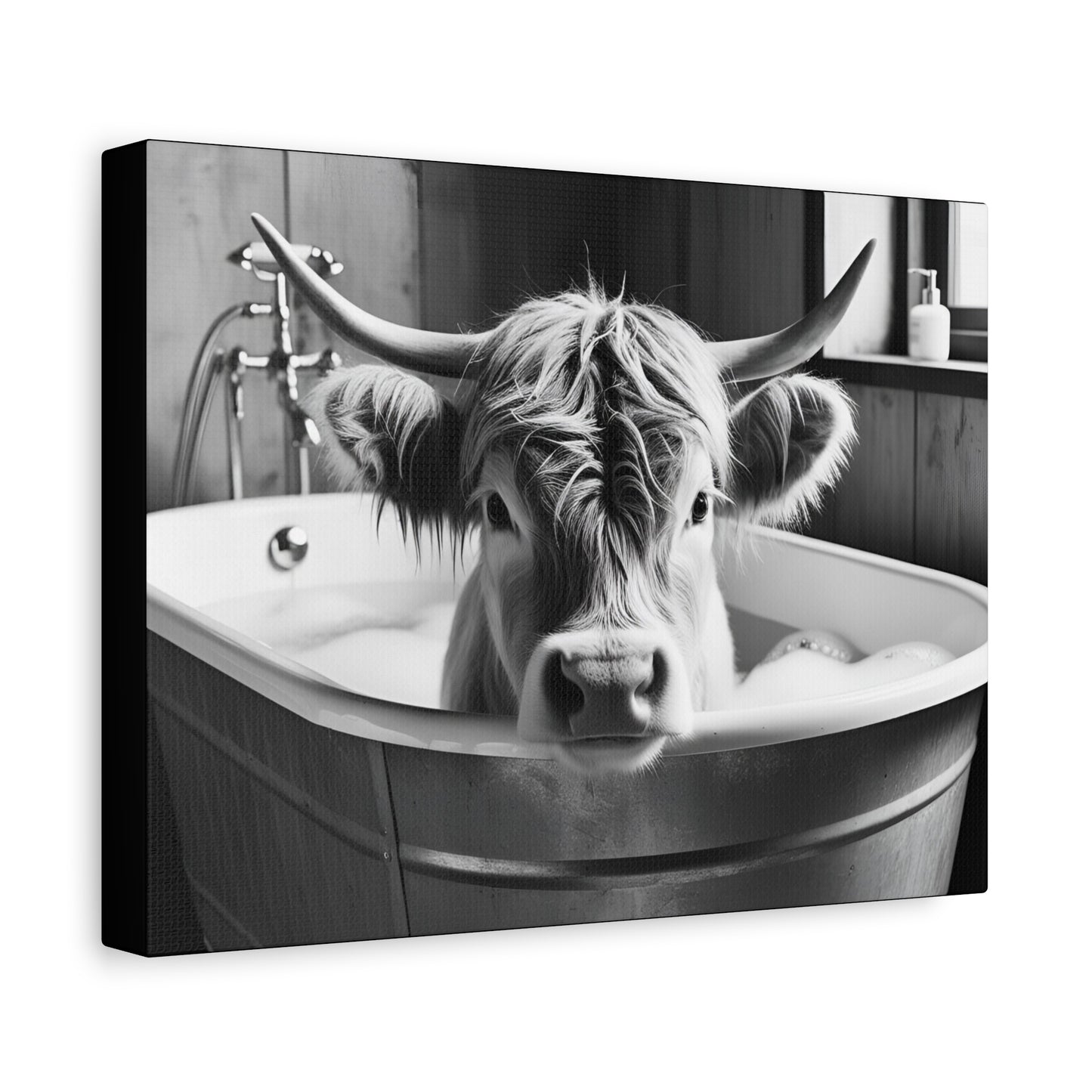 Highland Cow Bubbles Wall Art