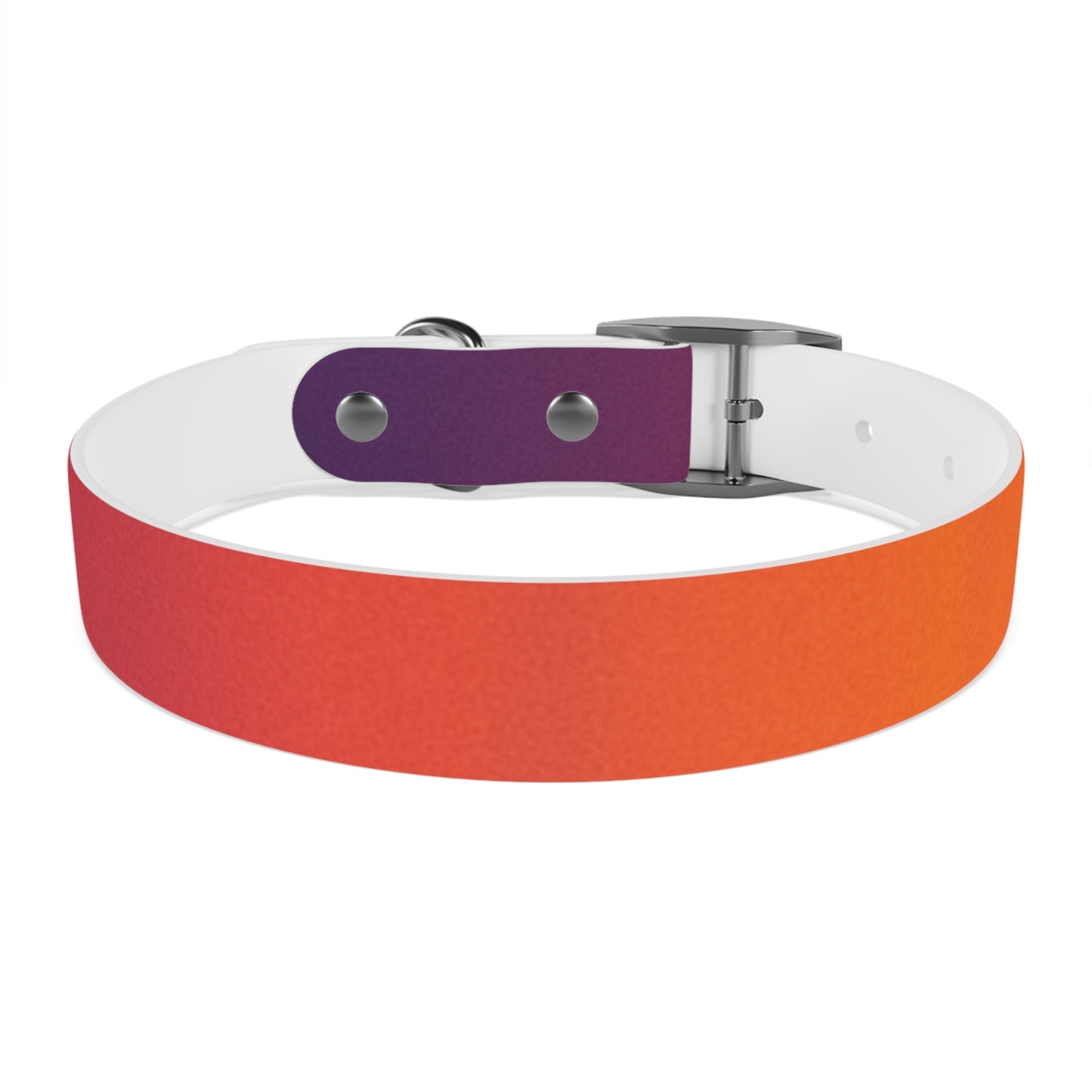 Vibrant Gradient Dog Collar