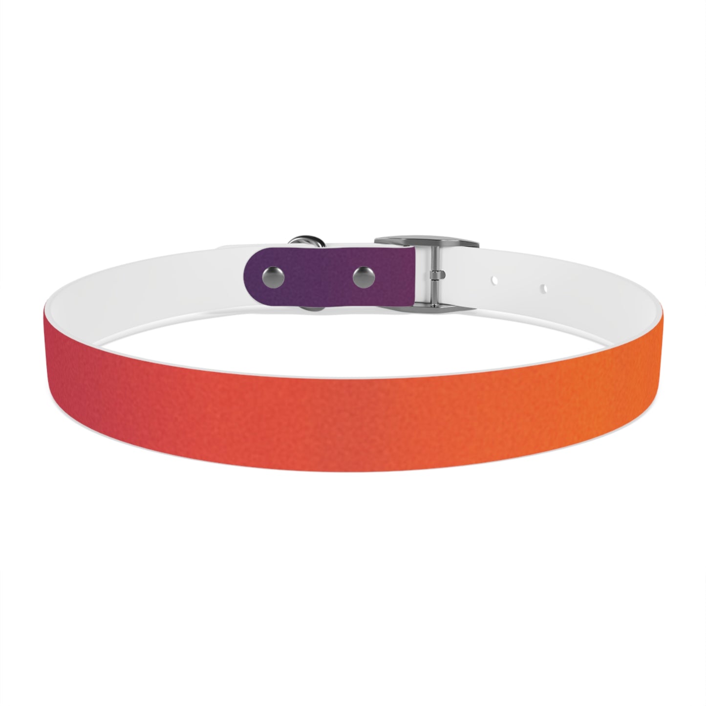 Vibrant Gradient Dog Collar
