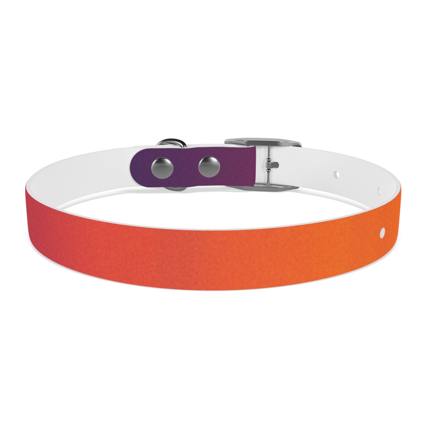 Vibrant Gradient Dog Collar