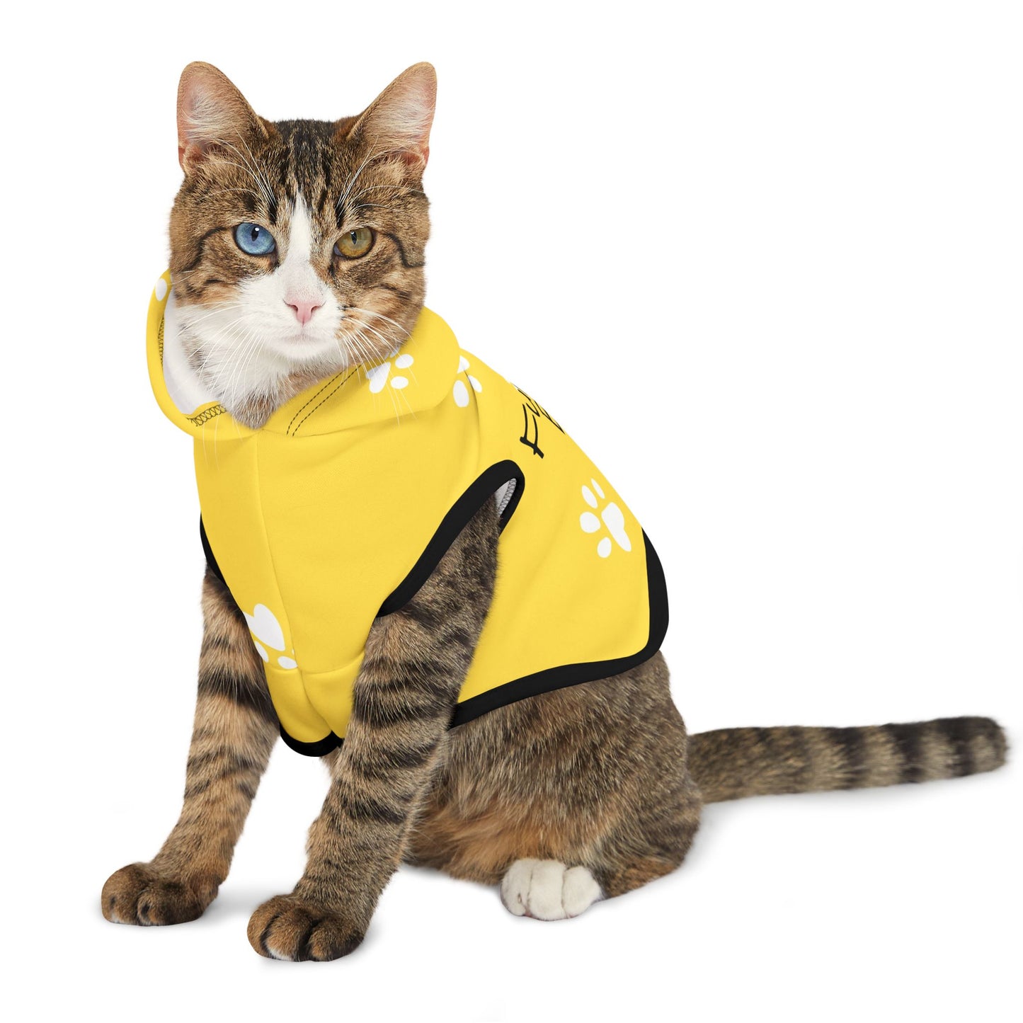 The Pawsitively Bright Dog Hoodie