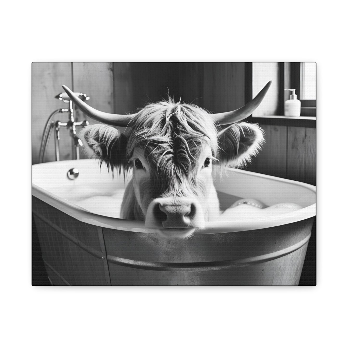 Highland Cow Bubbles Wall Art