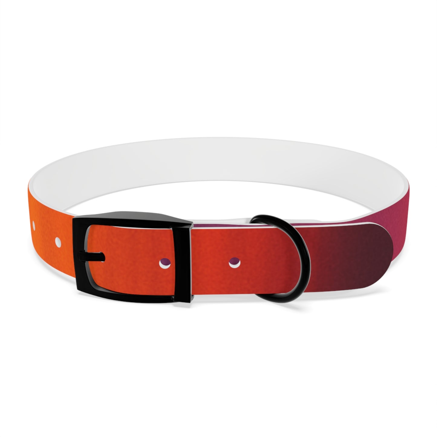 Vibrant Gradient Dog Collar