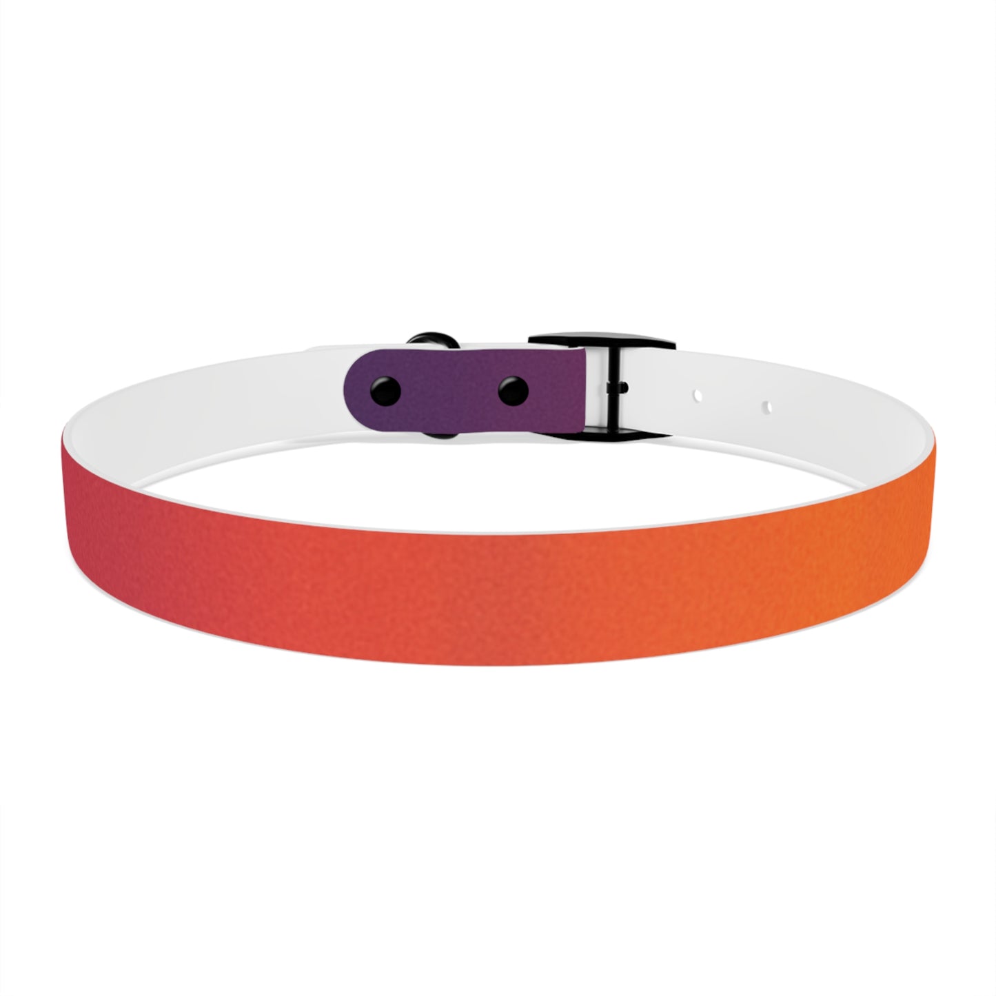 Vibrant Gradient Dog Collar