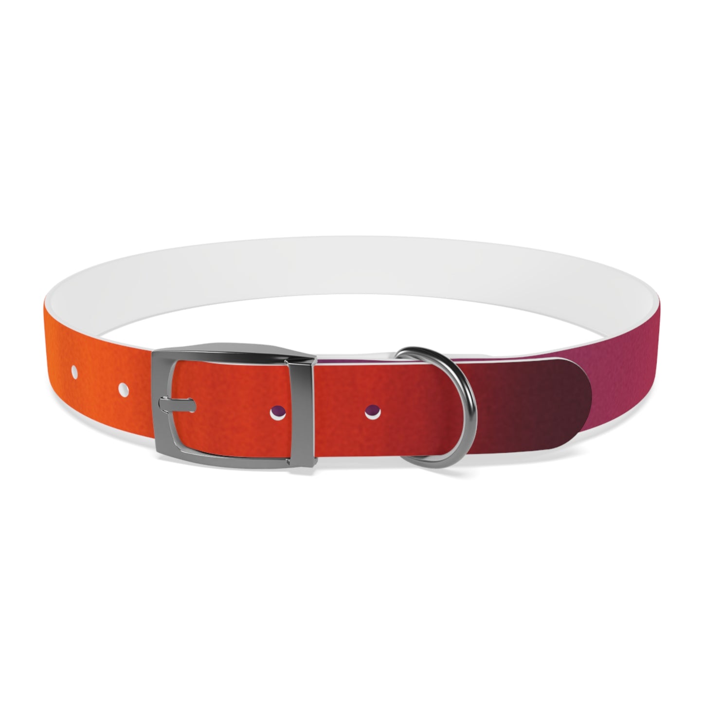 Vibrant Gradient Dog Collar
