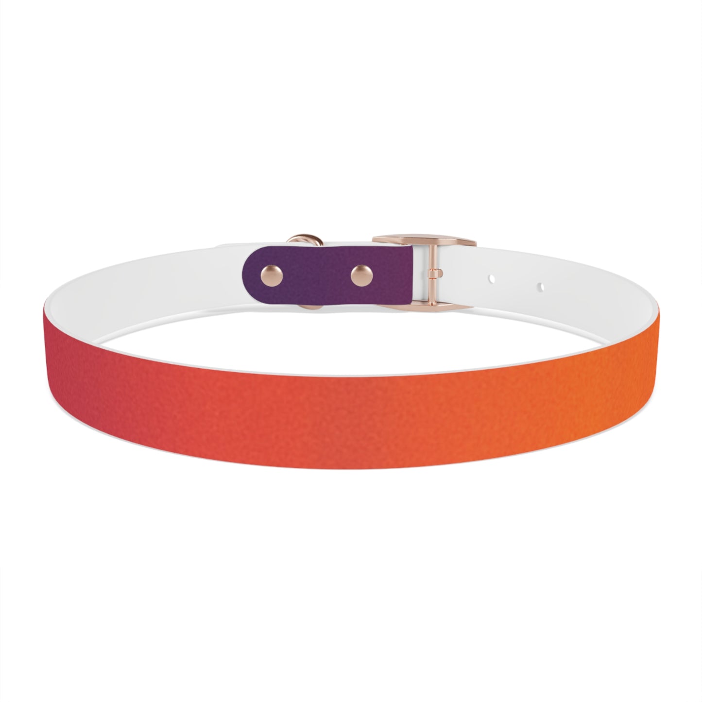 Vibrant Gradient Dog Collar