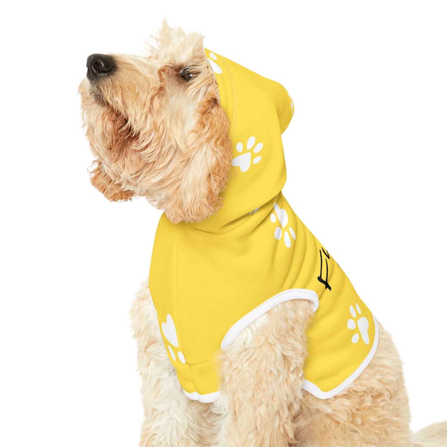 The Pawsitively Bright Dog Hoodie