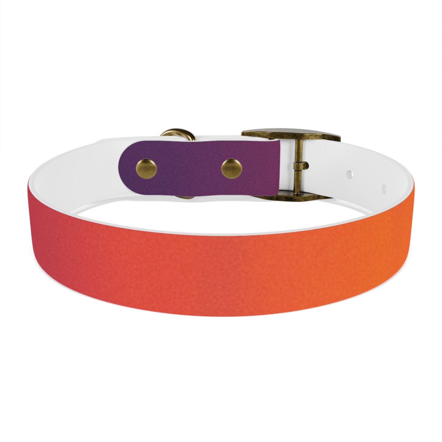 Vibrant Gradient Dog Collar