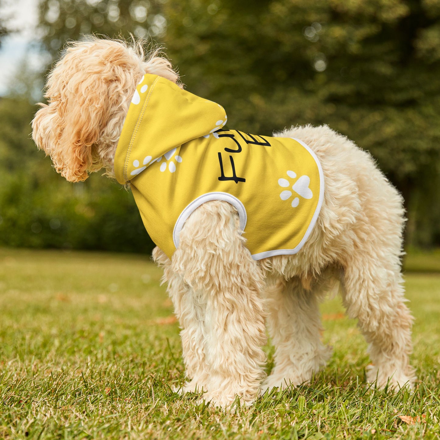 The Pawsitively Bright Dog Hoodie