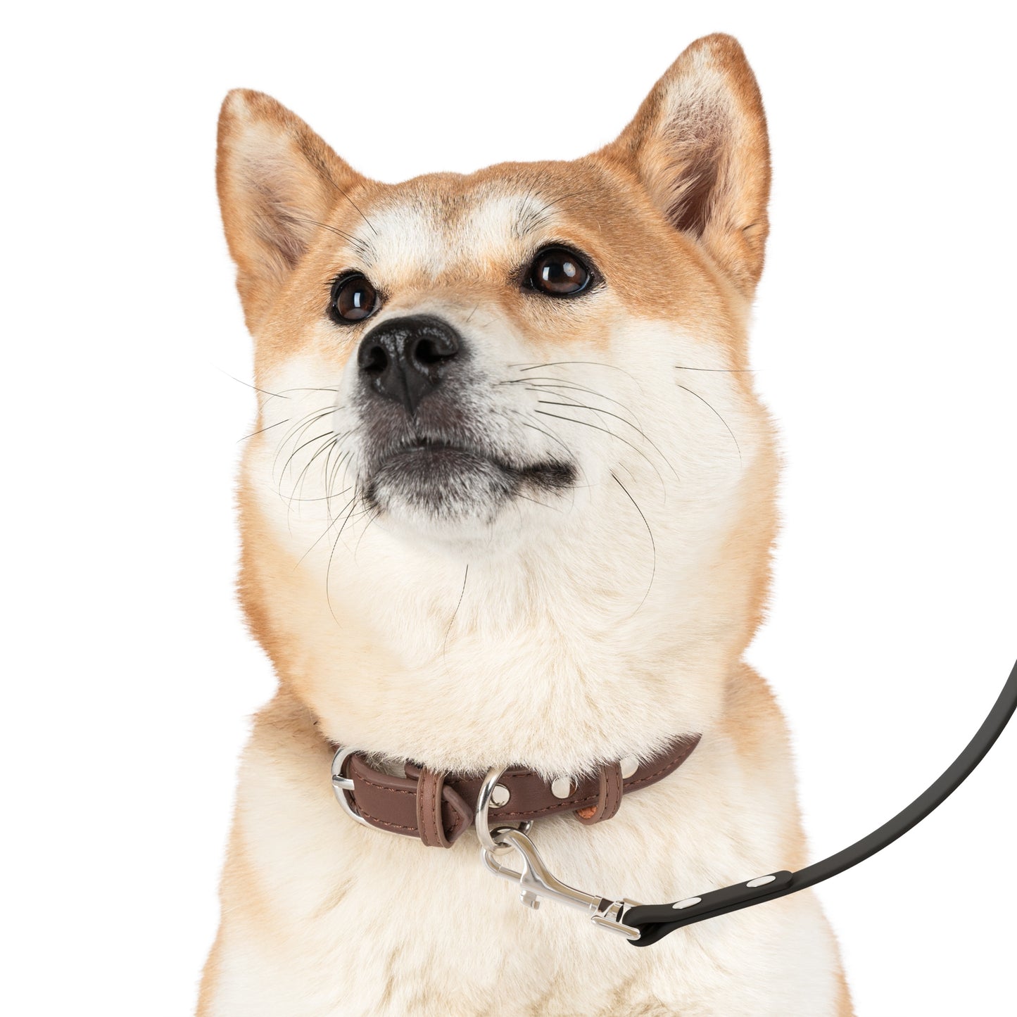 Stylish Pet Leash