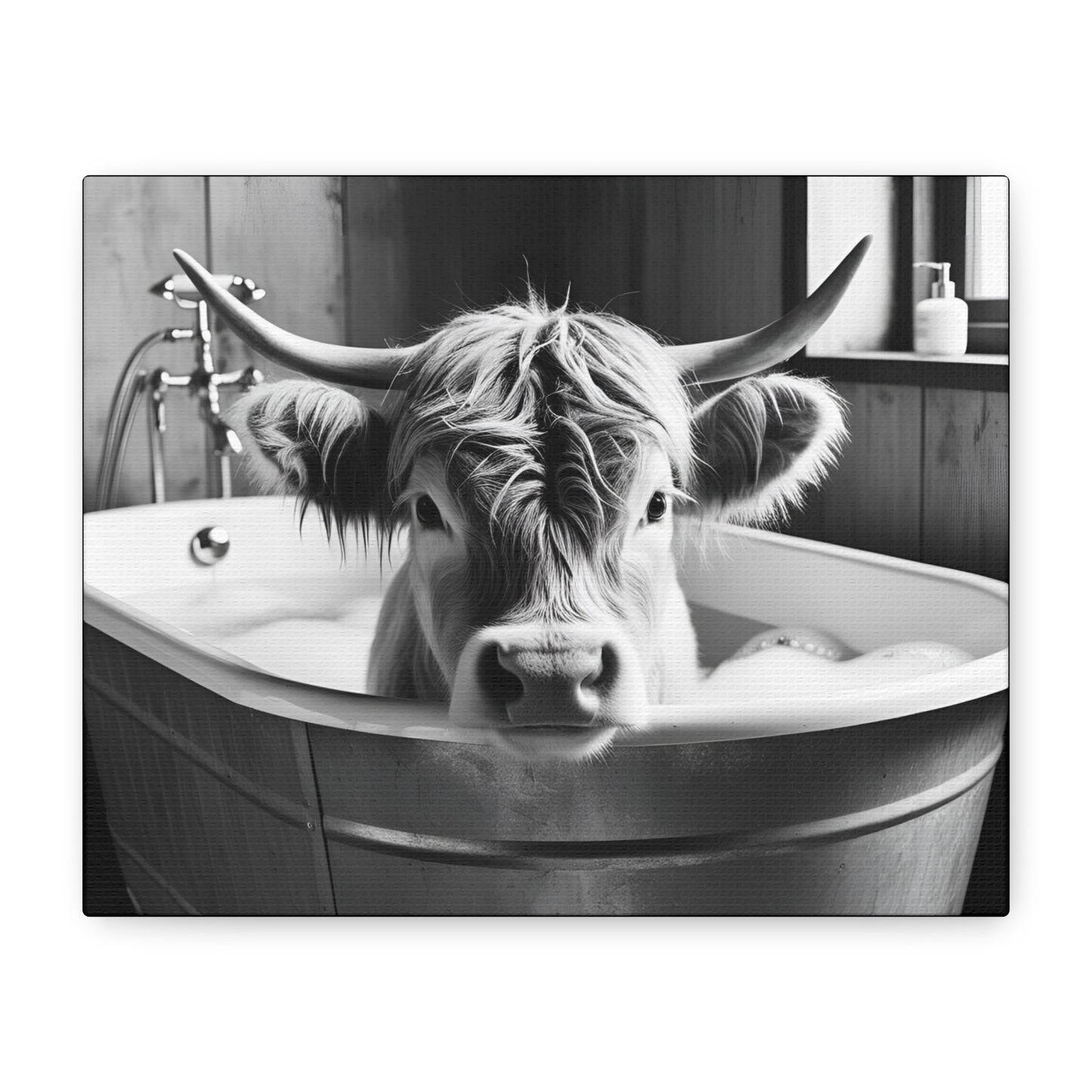 Highland Cow Bubbles Wall Art