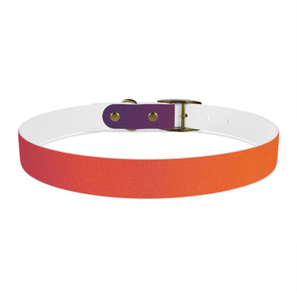 Vibrant Gradient Dog Collar