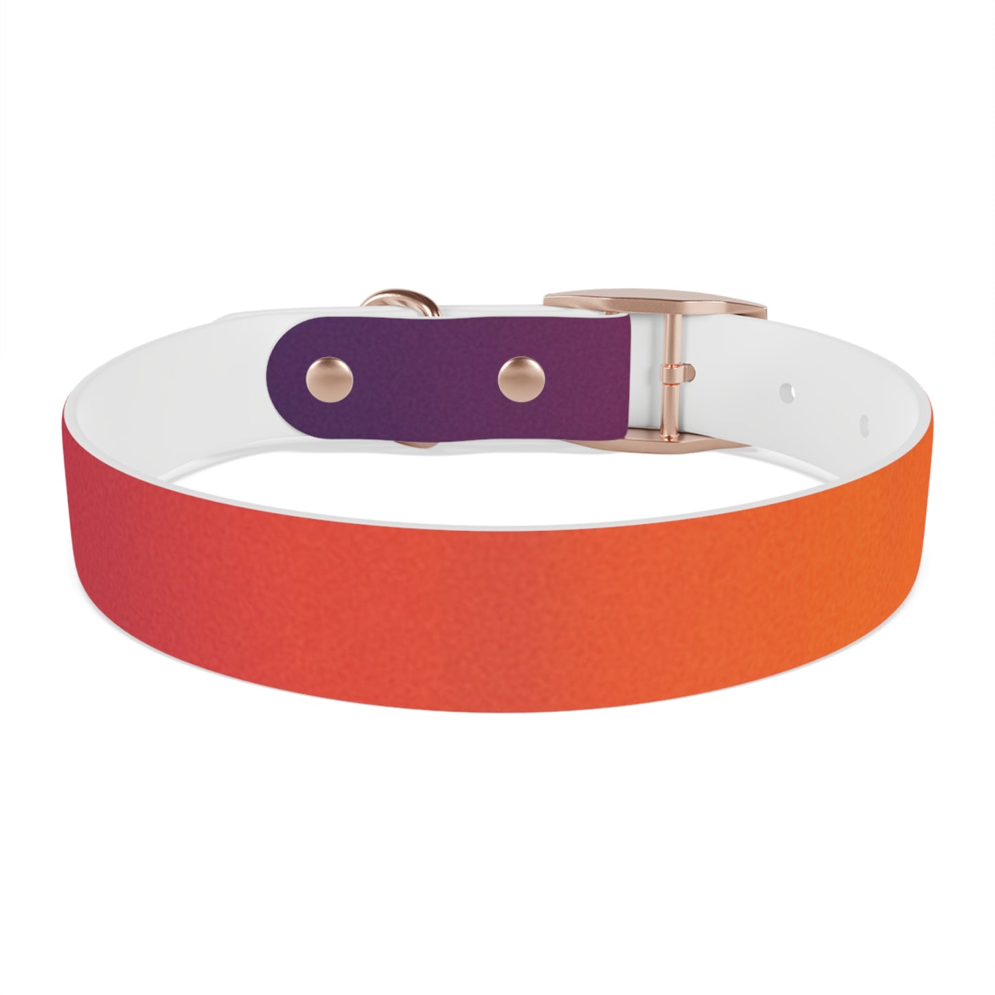 Vibrant Gradient Dog Collar