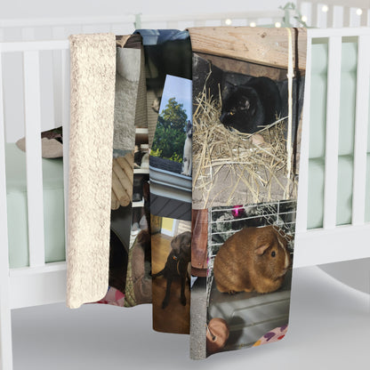 Cornell Pet Blanket