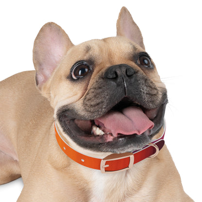 Vibrant Gradient Dog Collar