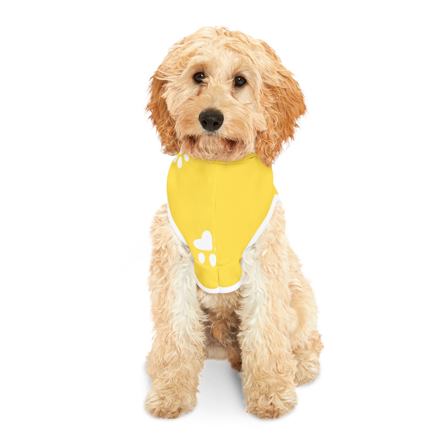 The Pawsitively Bright Dog Hoodie