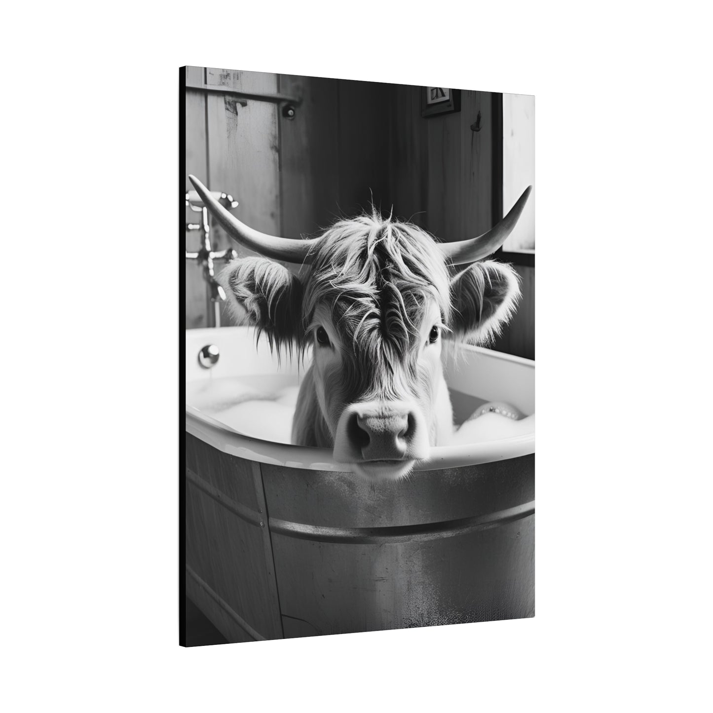 Highland Cow Bubbles Wall Art