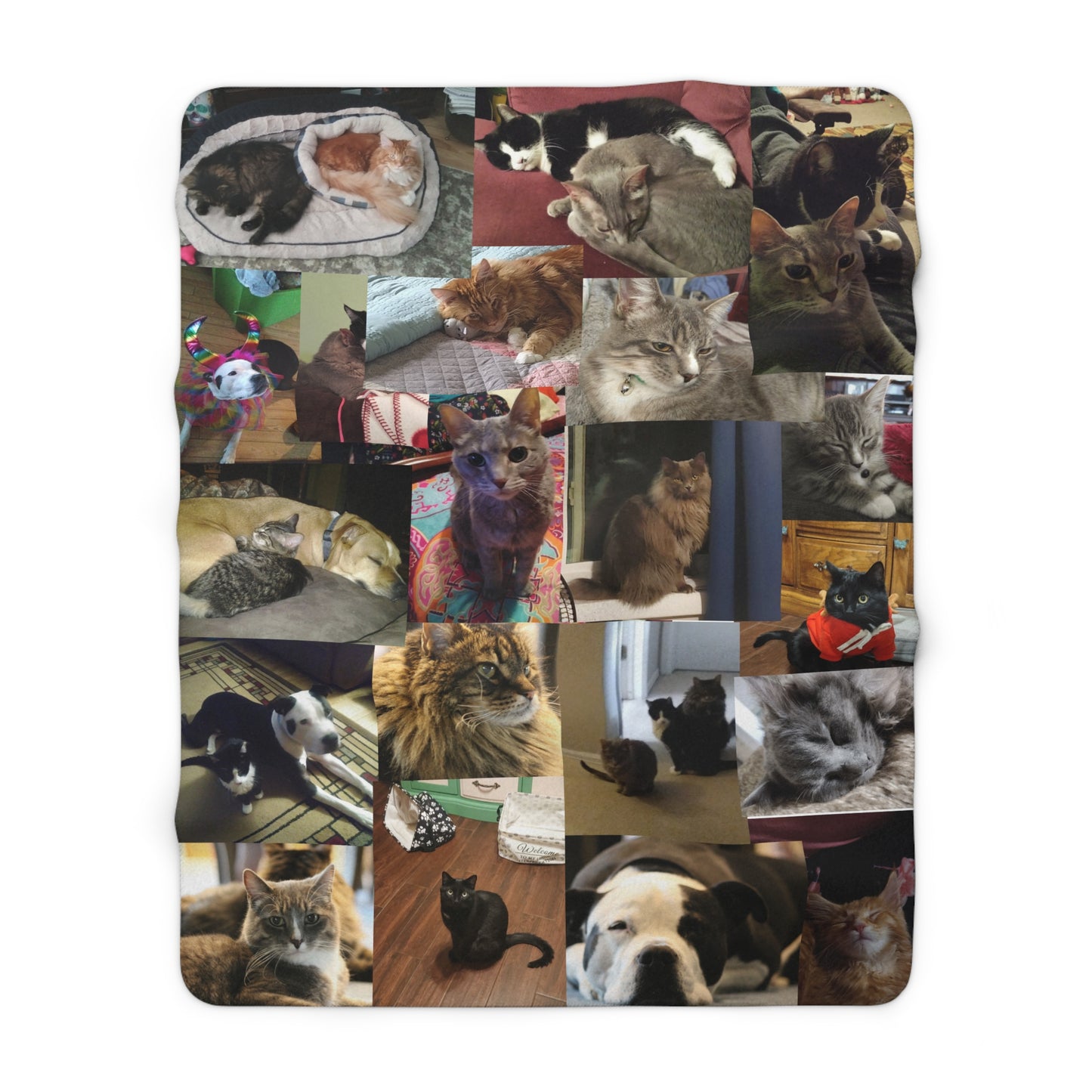 Sarah Sherpa Blanket