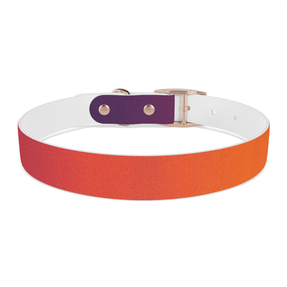 Vibrant Gradient Dog Collar
