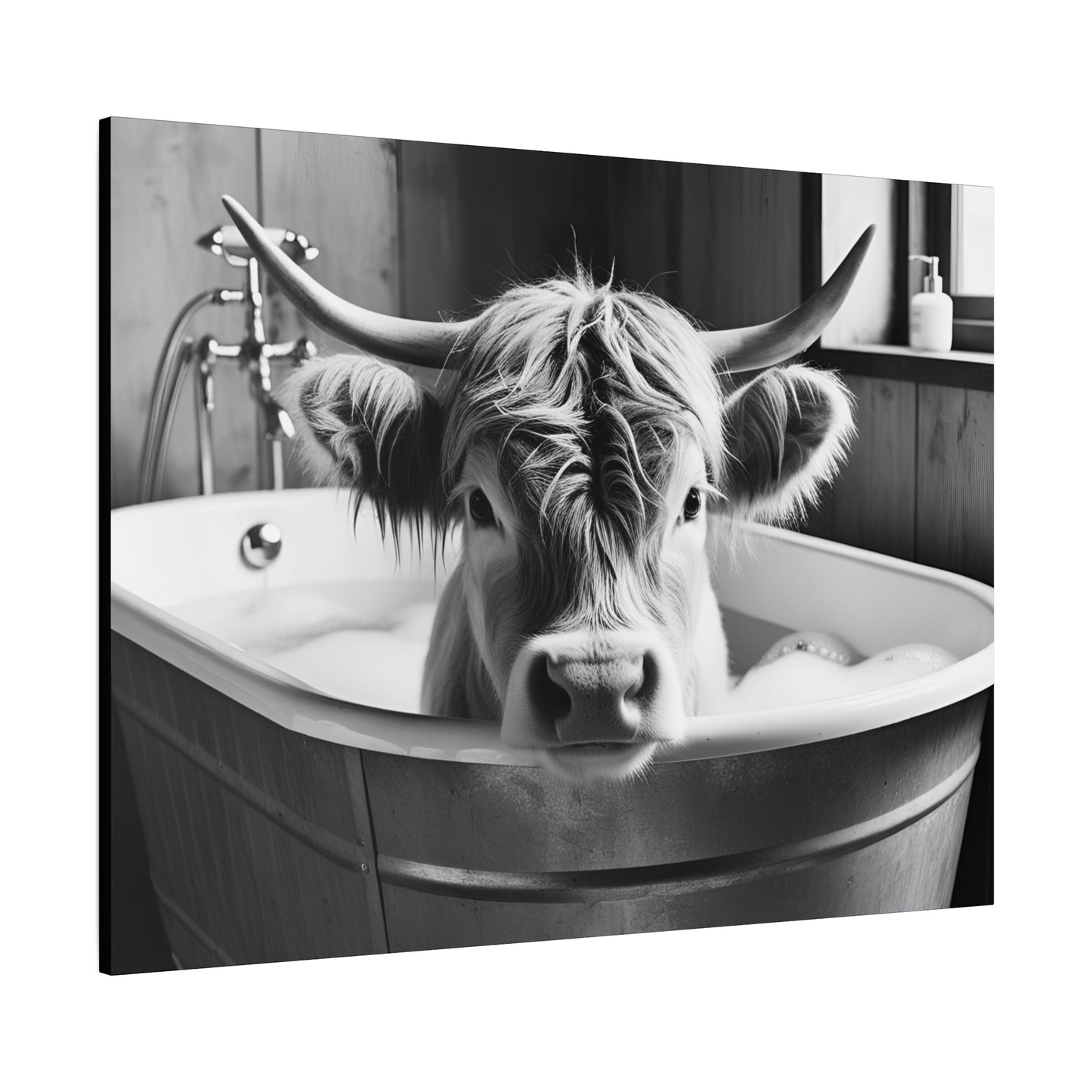 Highland Cow Bubbles Wall Art