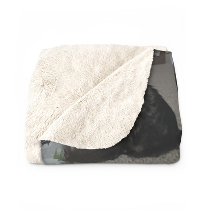 Cornell Pet Blanket
