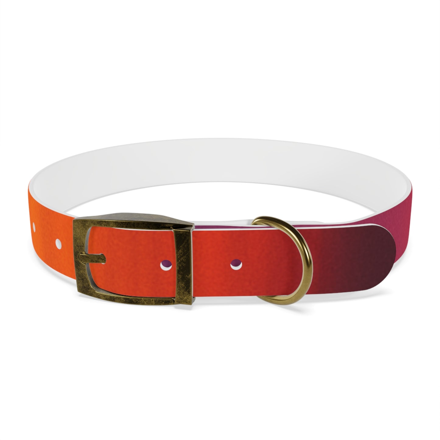 Vibrant Gradient Dog Collar
