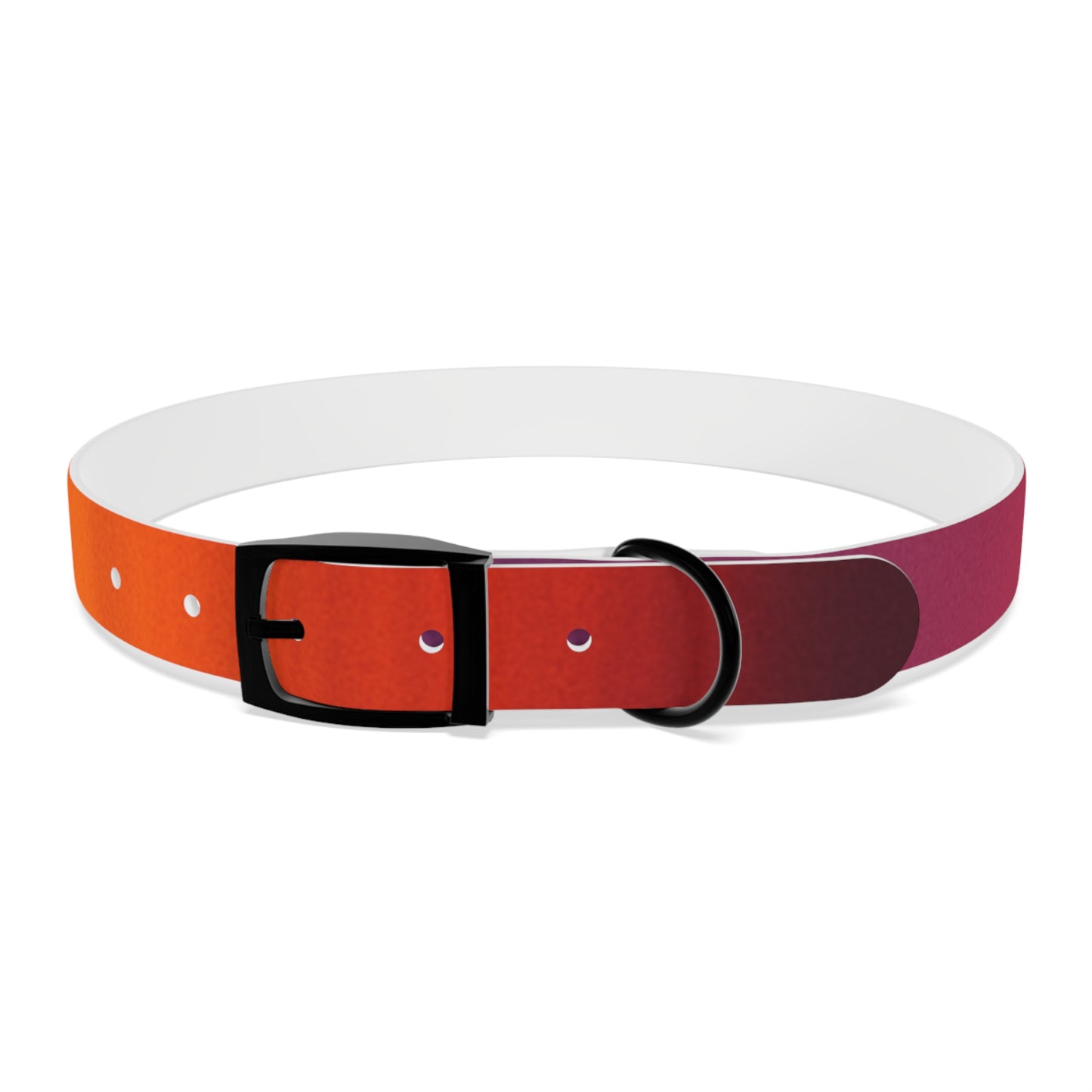 Vibrant Gradient Dog Collar